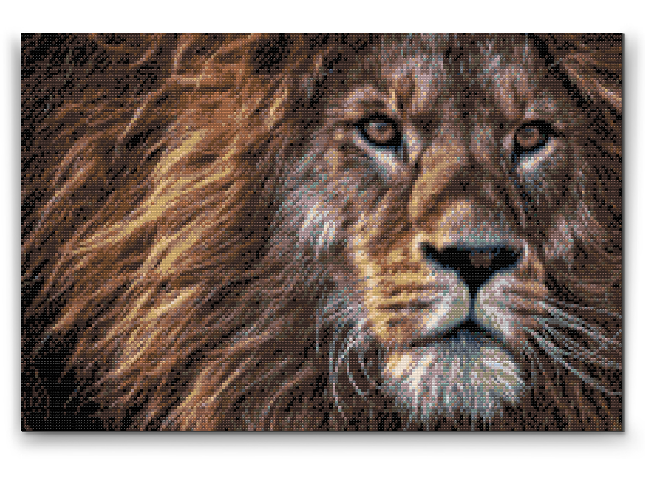 Diamantové malování - Predatory Look of a Lion